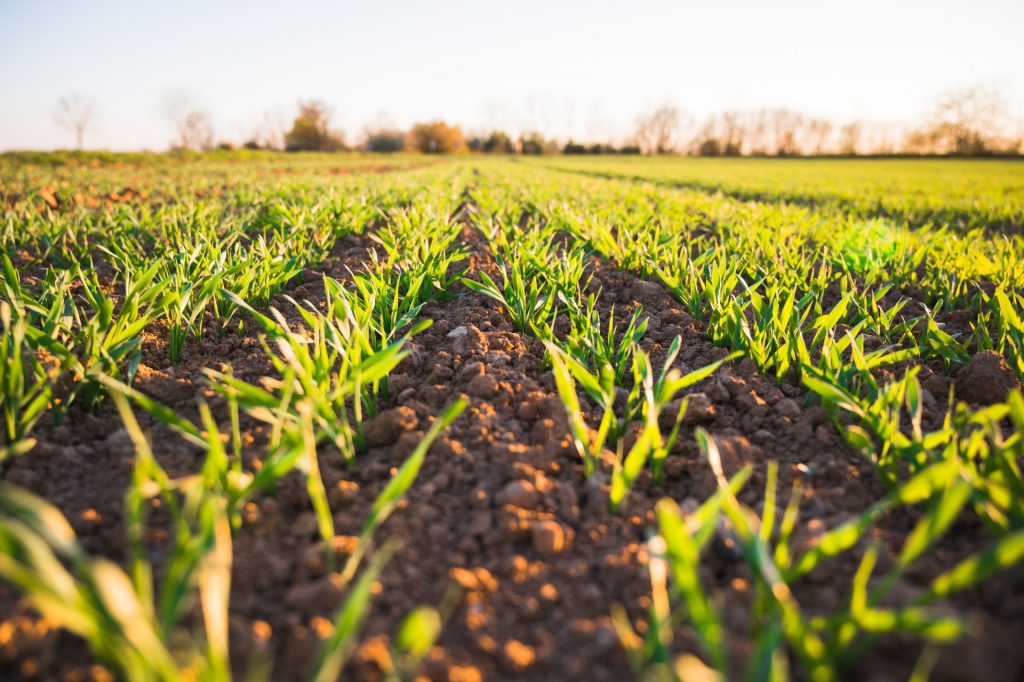 This Farming Method Can Help Save the Planet from Emissions