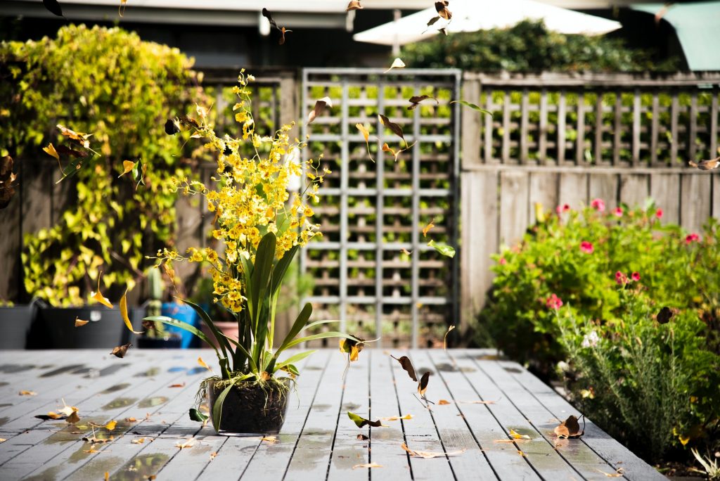 Are Garden Offices the Future for the UK Workforce?