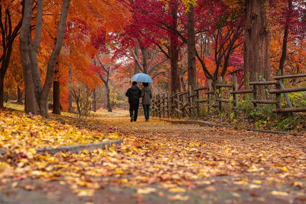 Work Hard, Love Harder: Rebalancing Your Work-Relationship Balance