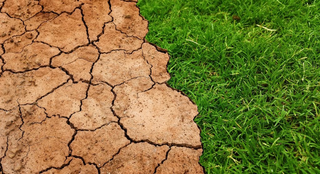The Clean Growth Strategy– What is it and how is the UK government approaching it?