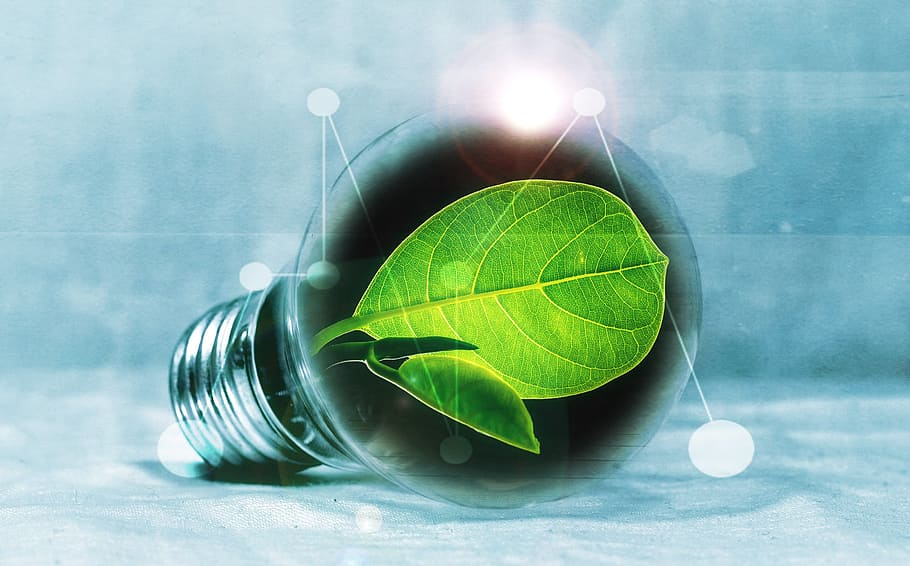 Maximize Your Comfort with Energy-Efficient Air Conditioners