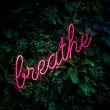 Breathing Better: Incorporating Exercise and Physical Activity into Your Respiratory Health Routine