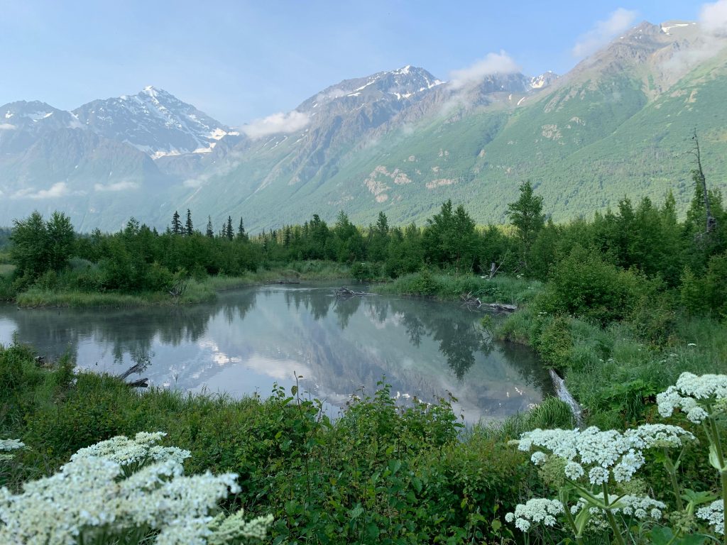 Jake Gaskell’s Guide to Safe Travel in Alaska