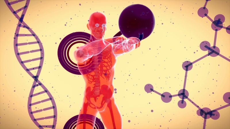 genetics of alcoholism